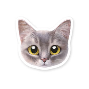 Leo the Abyssinian Blue Cat Face Deco Sticker