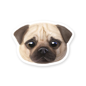 Puggie the Pug Dog Face Deco Sticker