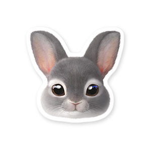 Chelsey the Rabbit Face Deco Sticker