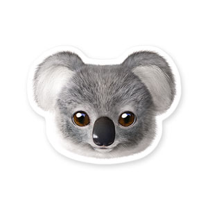 Coco the Koala Face Deco Sticker