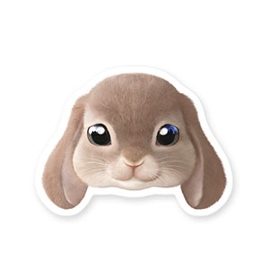 Daisy the Rabbit Face Deco Sticker