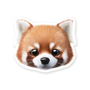 Radi the Lesser Panda Face Deco Sticker