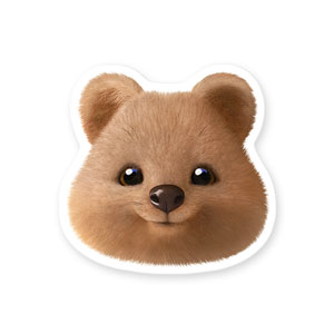 Toffee the Quokka Face Deco Sticker