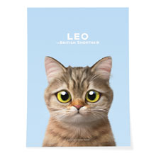 Leo the British Shorthair Art Poster