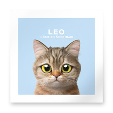 Leo the British Shorthair Art Print
