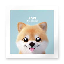 Tan the Pomeranian Art Print