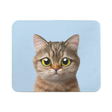 Leo the British Shorthair Mouse Pad