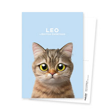 Leo the British Shorthair Postcard