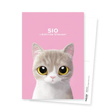 Sio Postcard