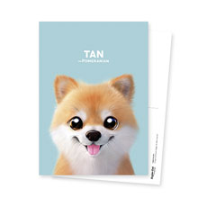 Tan the Pomeranian Postcard