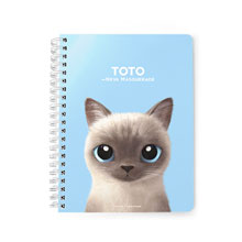 Toto Spring Note